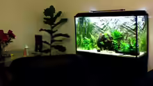 Aquarium Becken 9926