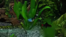 Aquarium Becken rio 180