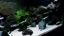 Aquarium Bilskirnir