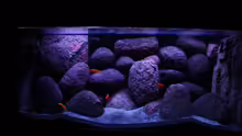 Aquarium Concrete canyon for Mbuna