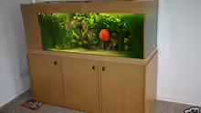 Aquarium Das Becken gibt es nicht mehr!!!!