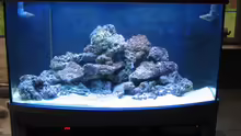 Aquarium Deltec