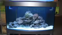 Aquarium Deltec