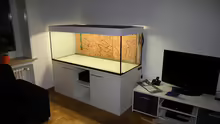 Aquarium Diskus-Tank