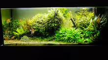 Aquarium Easy Scaping (nur noch Beispiel)
