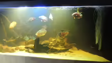 Aquarium eckaquarium