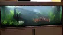 Aquarium EHEIM proxima 325