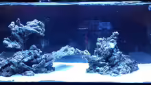 Aquarium Flev´s 1,1K MeWa Tank
