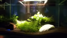 Aquarium Fluval Edge