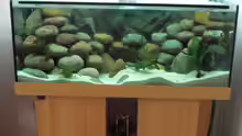 Aquarium Gesamtansicht