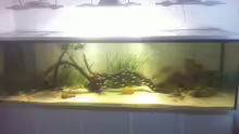 Aquarium Hauptansicht von 1