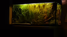 Aquarium Hauptansicht von 112 Südamerika,N