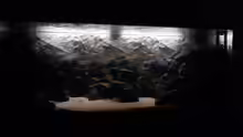 Aquarium Hauptansicht von 540l Mbuna