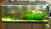 Aquarium Hauptansicht von 575er