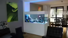 Aquarium Hauptansicht von 800l
