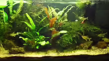 Aquarium Hauptansicht von Amazon Inspire
