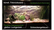Aquarium Hauptansicht von Becken 108