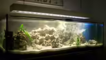 Aquarium Hauptansicht von Becken 11069