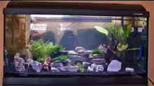 Aquarium Hauptansicht von Becken 112 L nur noch als Beispiel