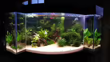 Aquarium Hauptansicht von Becken 11953