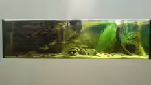 Aquarium Hauptansicht von Becken 12154