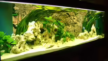 Aquarium Hauptansicht von Becken 12705