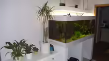 Aquarium Hauptansicht von Becken 13702
