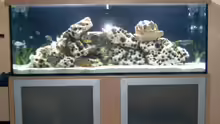 Aquarium Hauptansicht von Becken 142