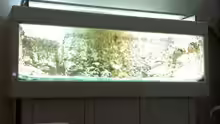 Aquarium Hauptansicht von Becken 17453
