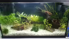 Aquarium Hauptansicht von Becken 2.0