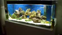 Aquarium Hauptansicht von Becken 2085