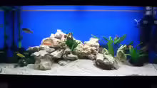 Aquarium Hauptansicht von Becken 2250