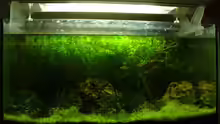 Aquarium Hauptansicht von Becken 2503