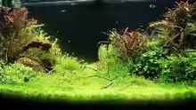 Aquarium Hauptansicht von Becken 25160