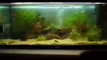 Aquarium Hauptansicht von Becken 2627