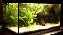 Aquarium Hauptansicht von Becken 2761