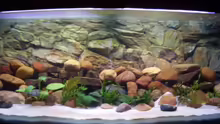 Aquarium Hauptansicht von Becken 2860