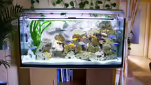 Aquarium Hauptansicht von Becken 2878