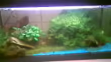 Aquarium Hauptansicht von Becken 3222