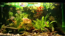 Aquarium Hauptansicht von Becken 3297