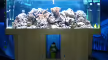 Aquarium Hauptansicht von Becken 3532