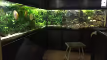 Aquarium Hauptansicht von Becken 36498