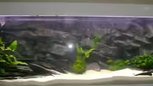 Aquarium Hauptansicht von Becken 3764