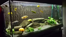 Aquarium Hauptansicht von Becken 3882