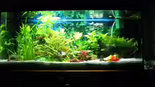 Aquarium Hauptansicht von Becken 4197