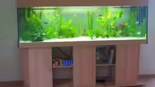 Aquarium Hauptansicht von Becken 479