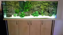 Aquarium Hauptansicht von Becken 5280