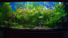 Aquarium Hauptansicht von Becken 5908