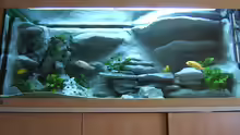 Aquarium Hauptansicht von Becken 5960