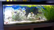 Aquarium Hauptansicht von Becken 6000